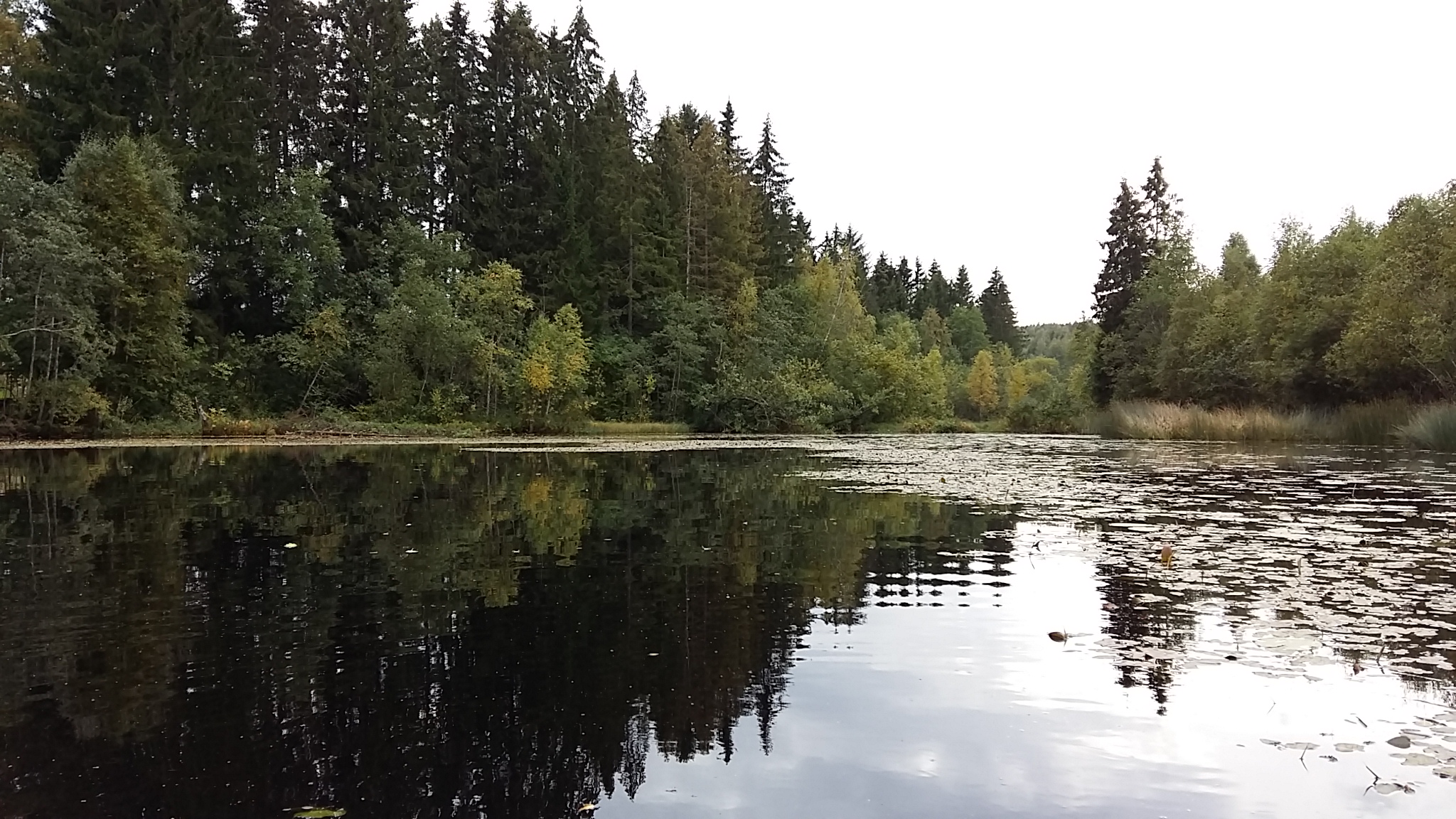 testowylowiska